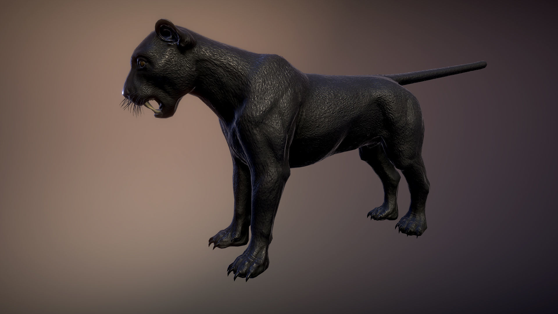 Panthers pack Low-poly 3D model_4