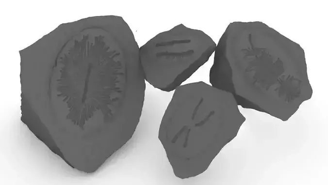 Bug Trail Fossils Free 3D print model