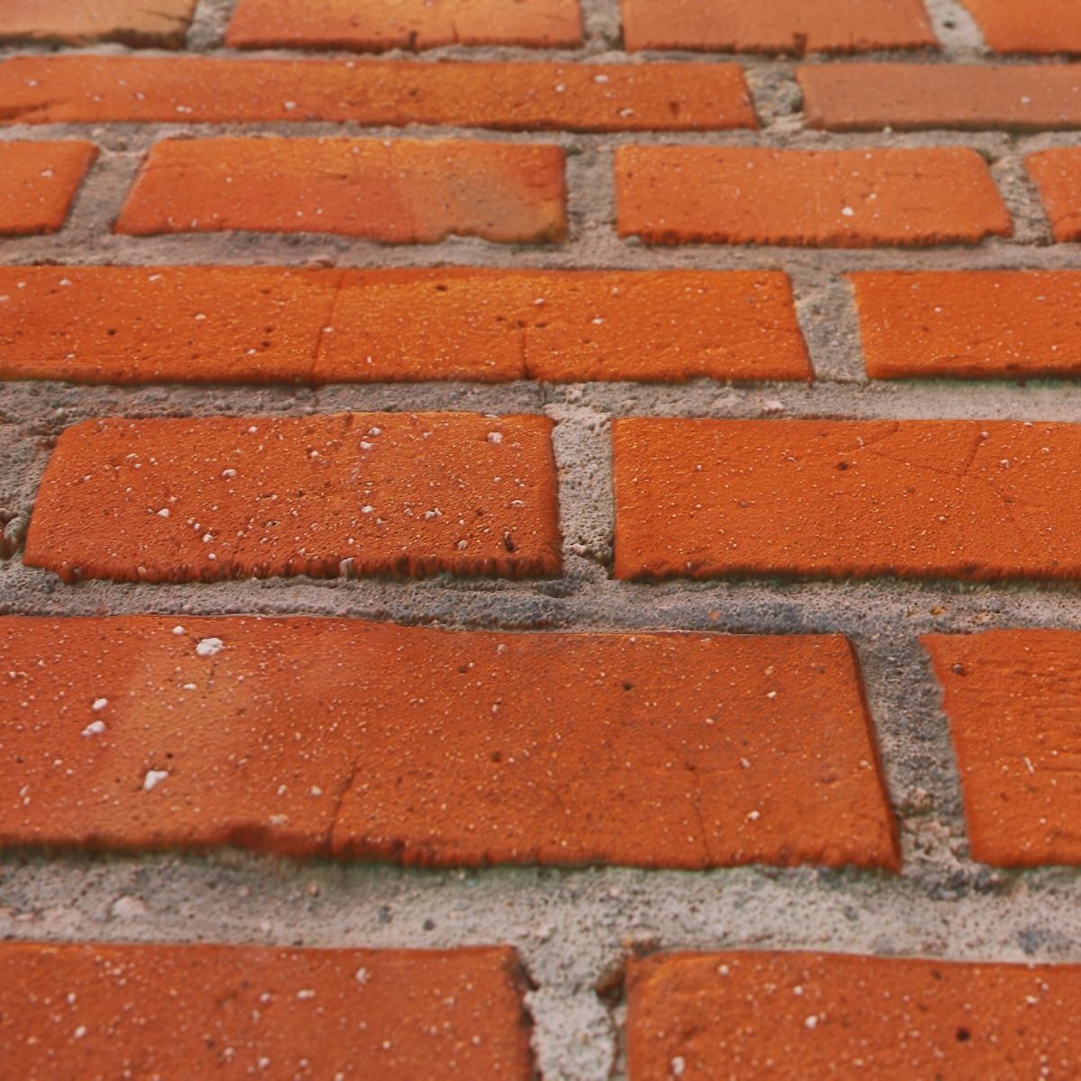 Bricks PBR Texture 02 Texture_10