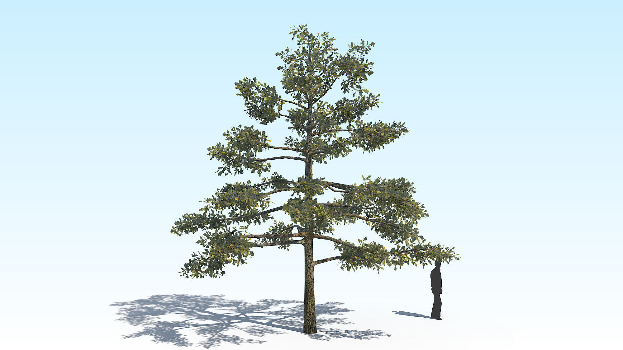 Oak Tree 01 PBR Low-poly 3D model_5