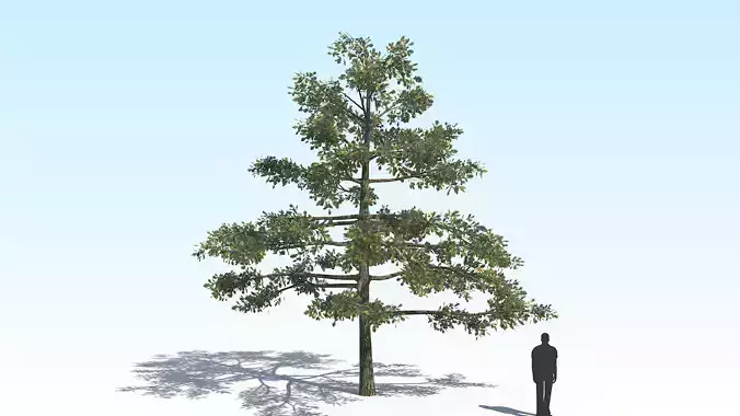 Oak Tree 01 PBR Low-poly 3D model
