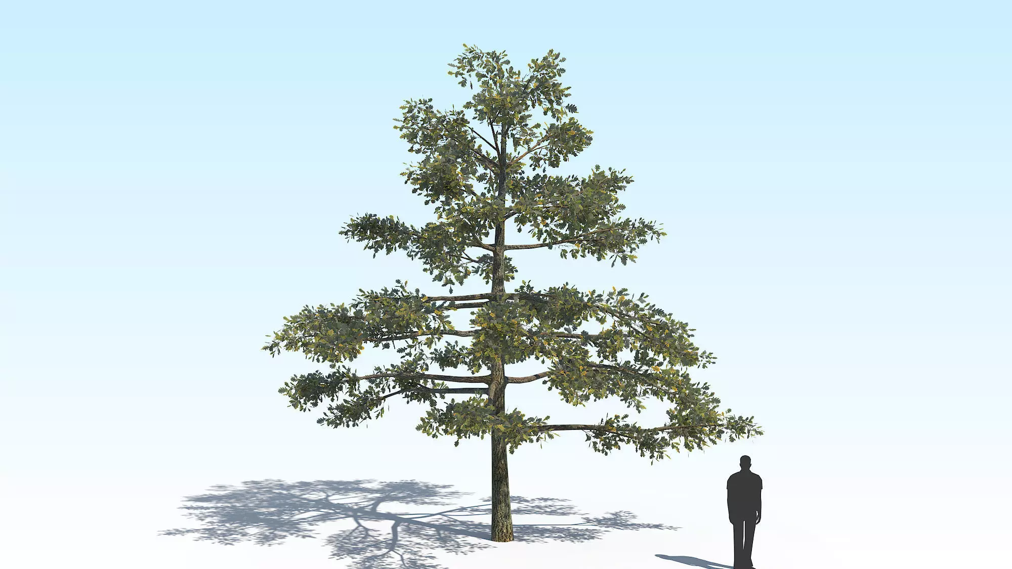 Oak Tree 01 PBR Low-poly 3D model_0