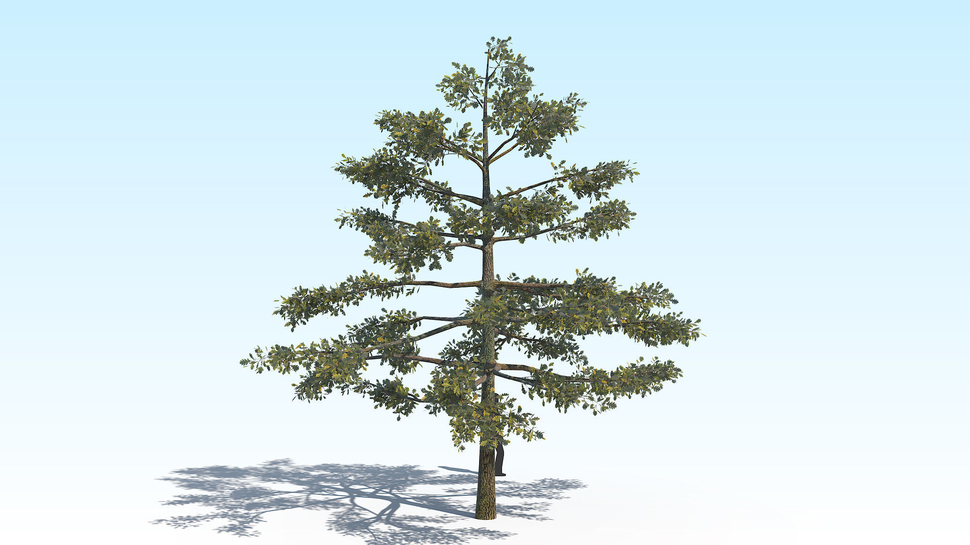 Oak Tree 01 PBR Low-poly 3D model_4
