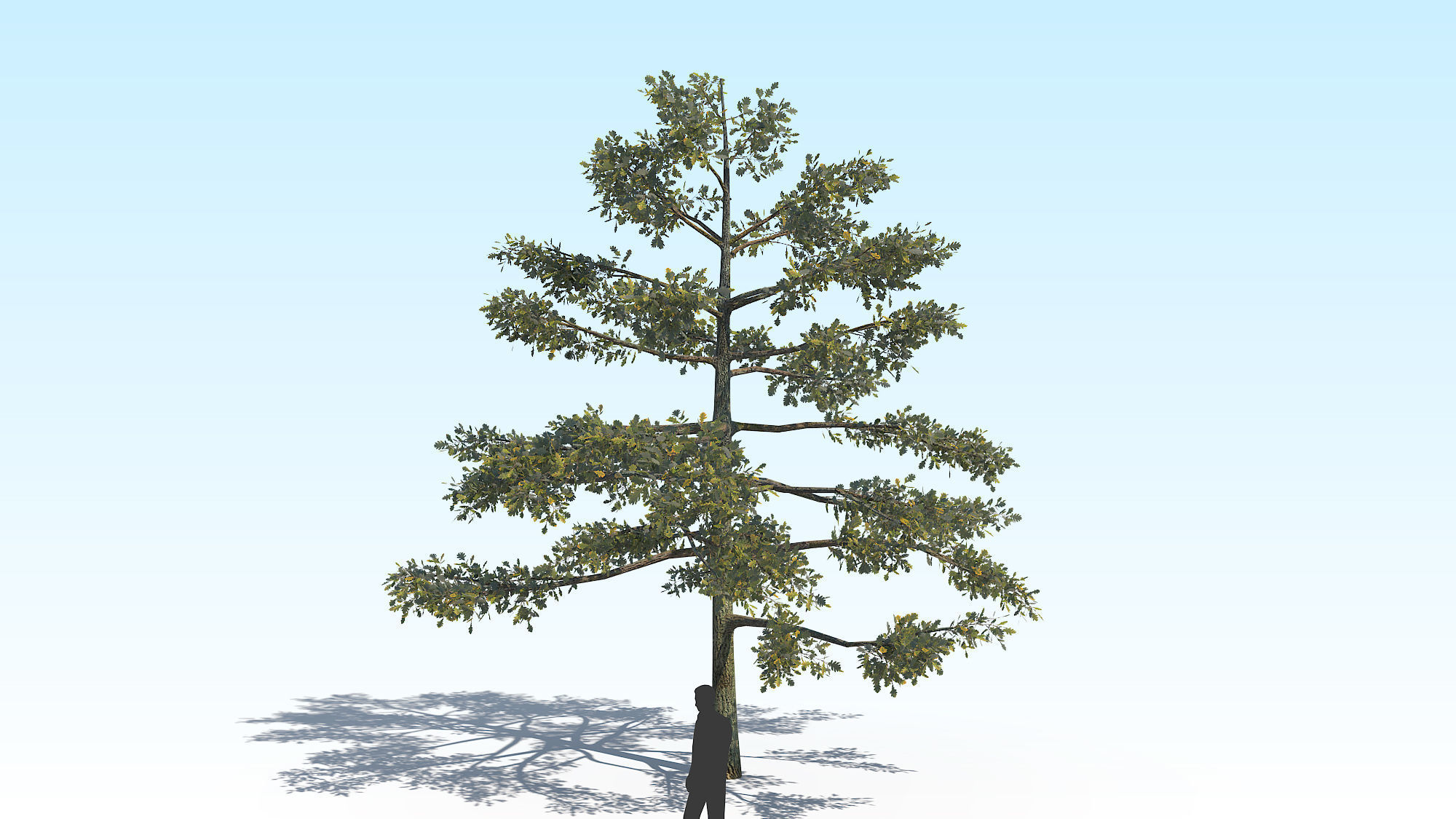 Oak Tree 01 PBR Low-poly 3D model_1