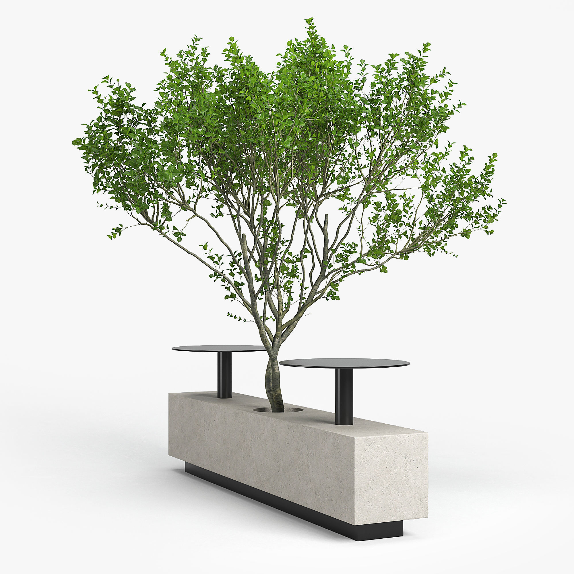Foa Kucher 3D model_2