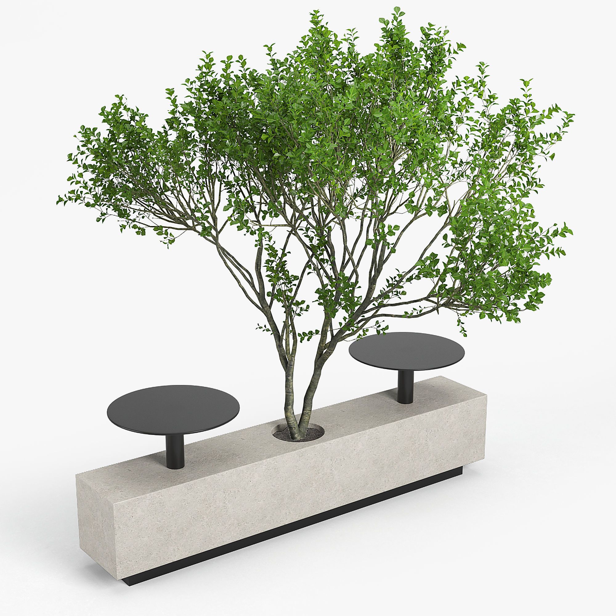 Foa Kucher 3D model_3