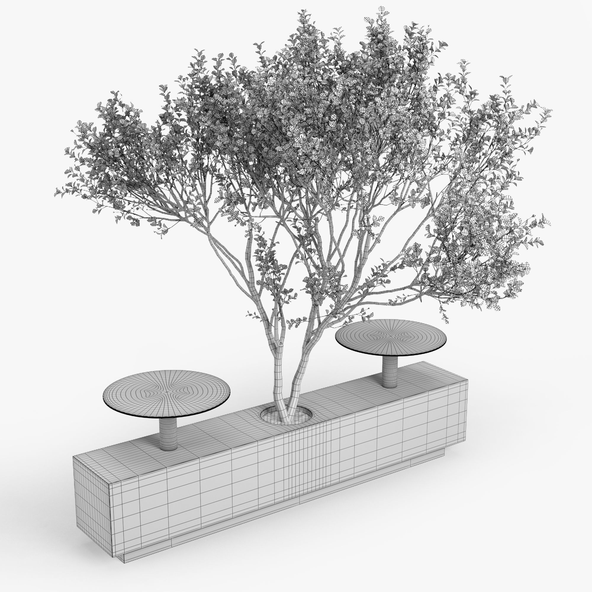 Foa Kucher 3D model_4