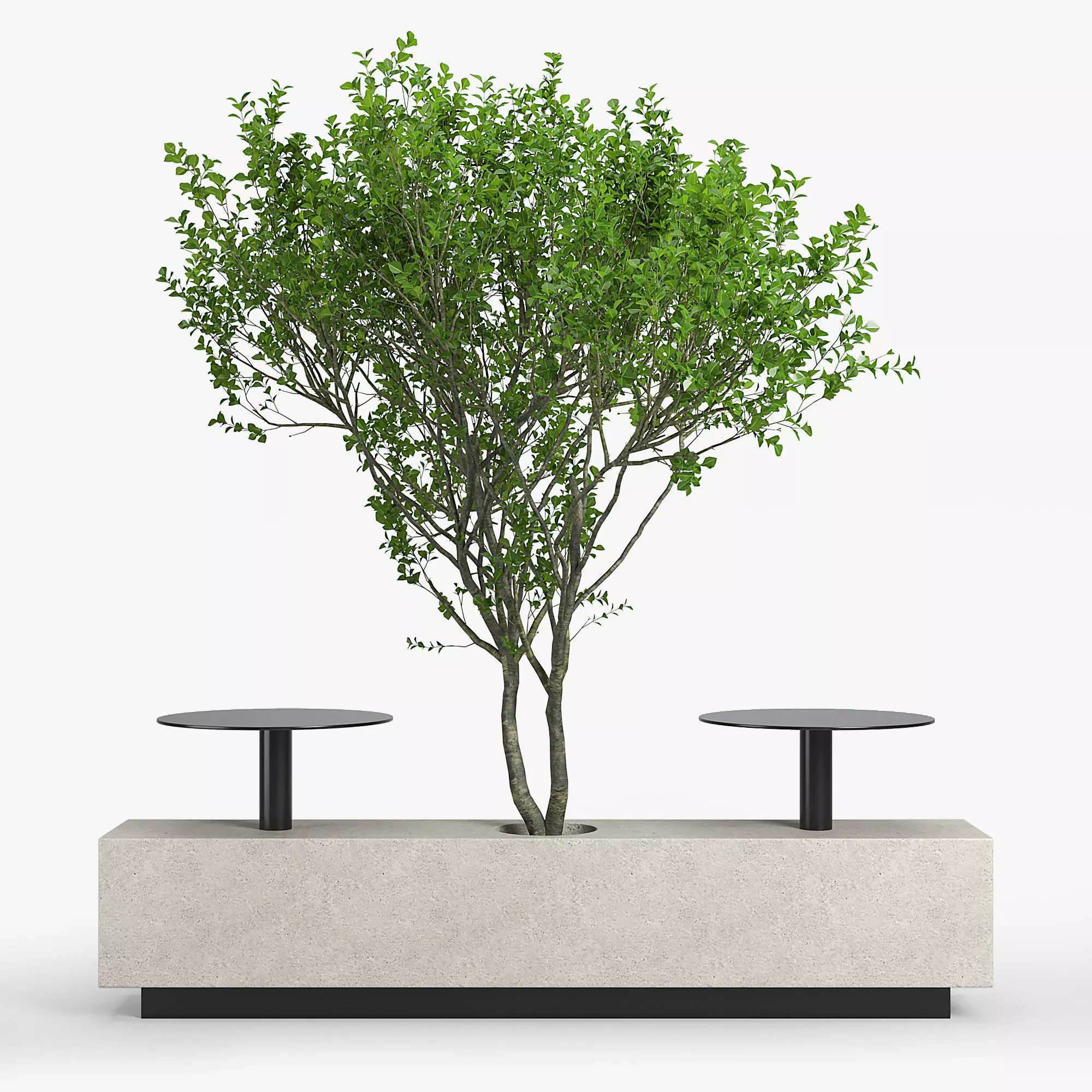 Foa Kucher 3D model_0