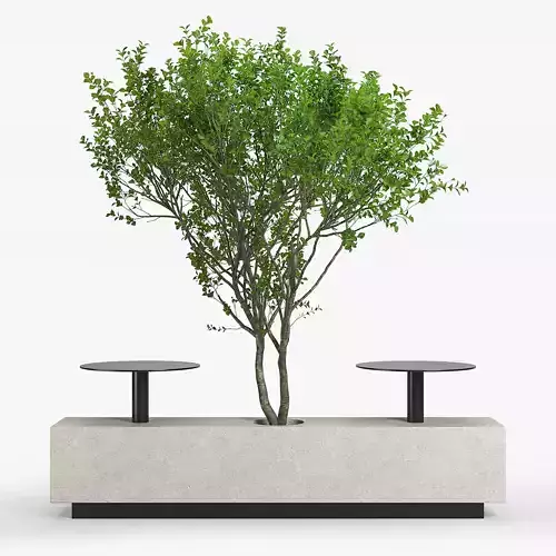 Foa Kucher 3D model