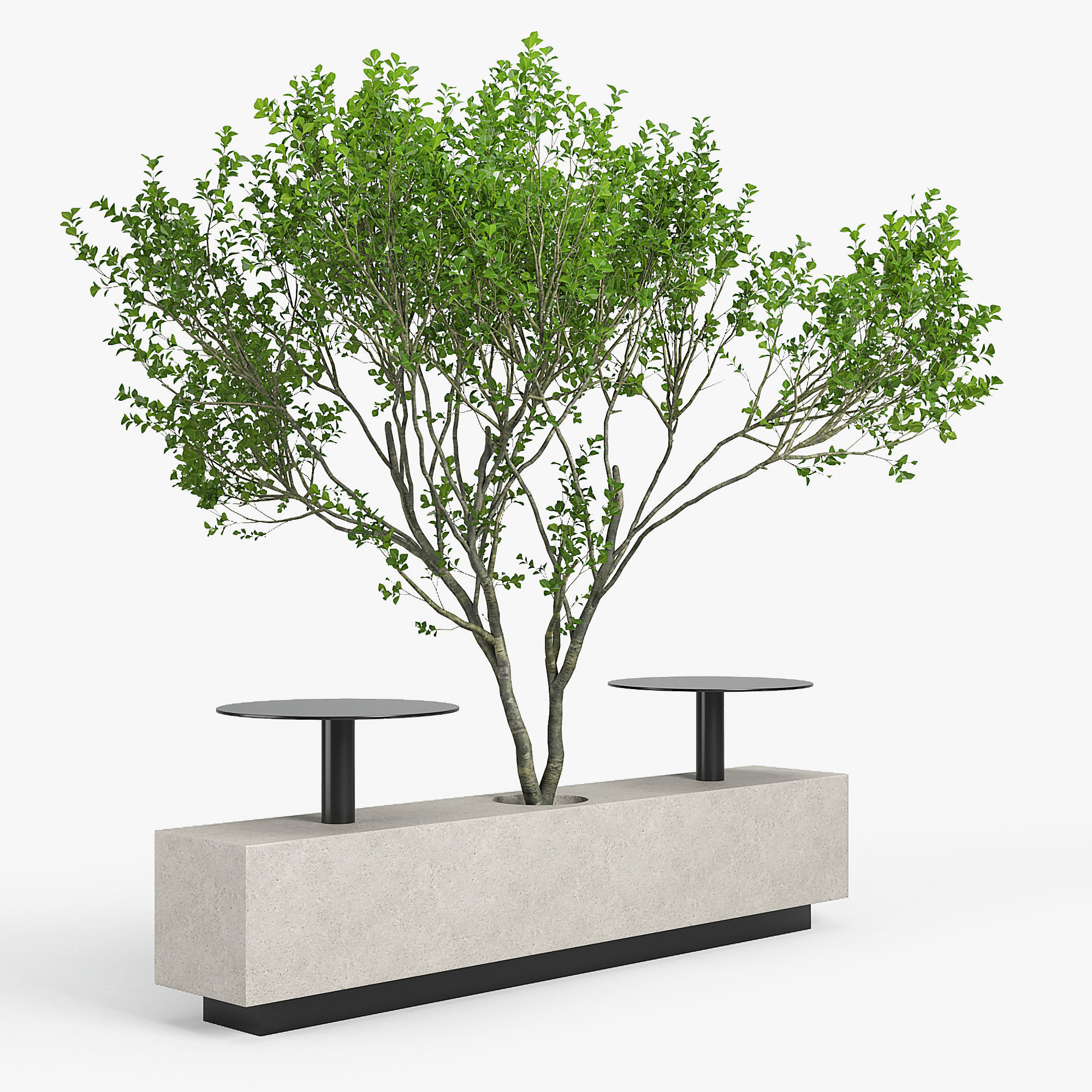 Foa Kucher 3D model_1
