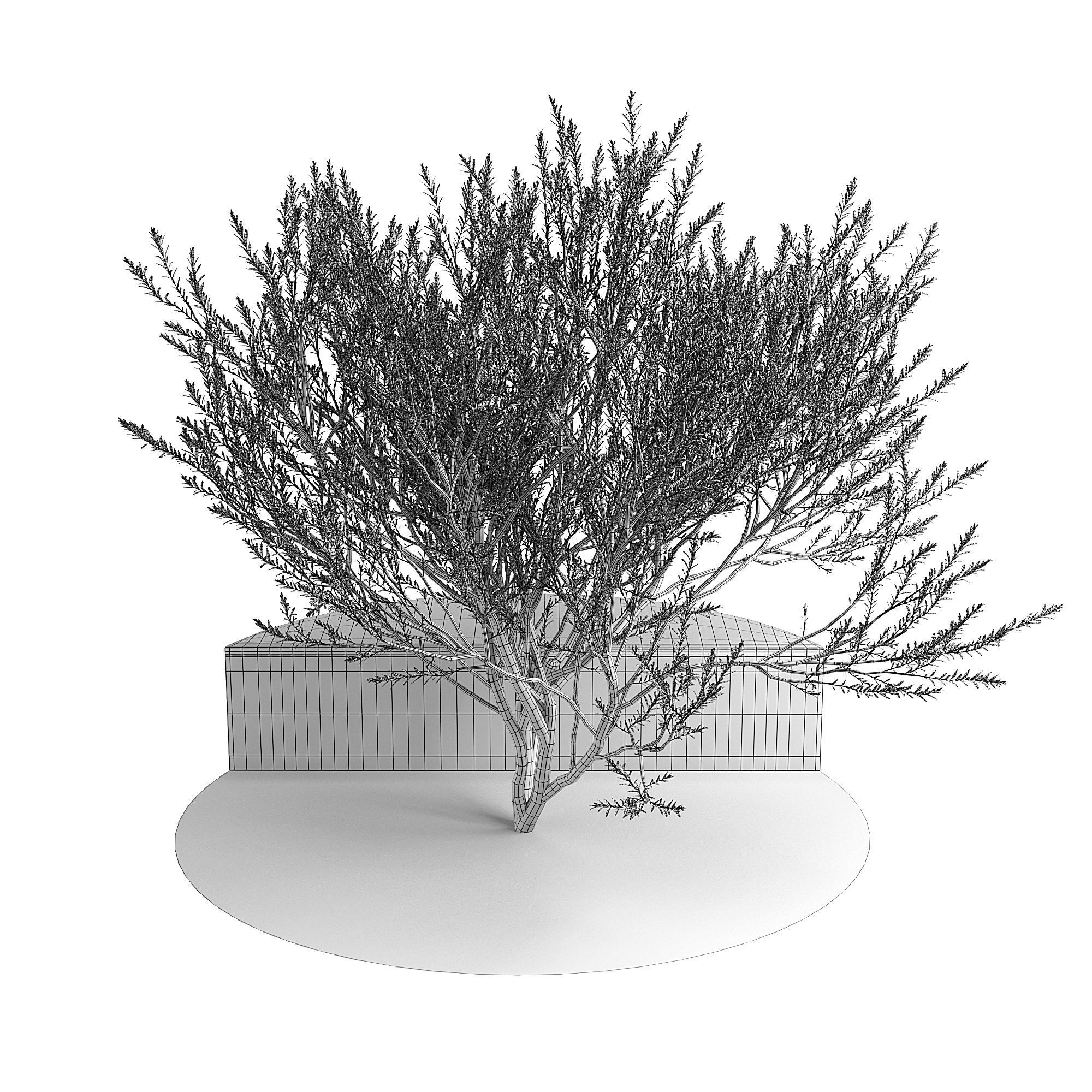 RtA Olive 3D model_3