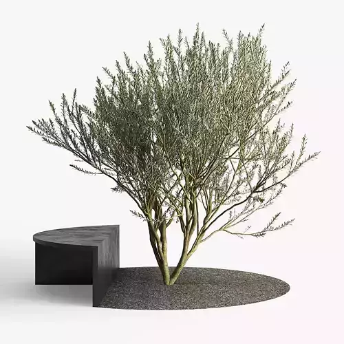 RtA Olive 3D model