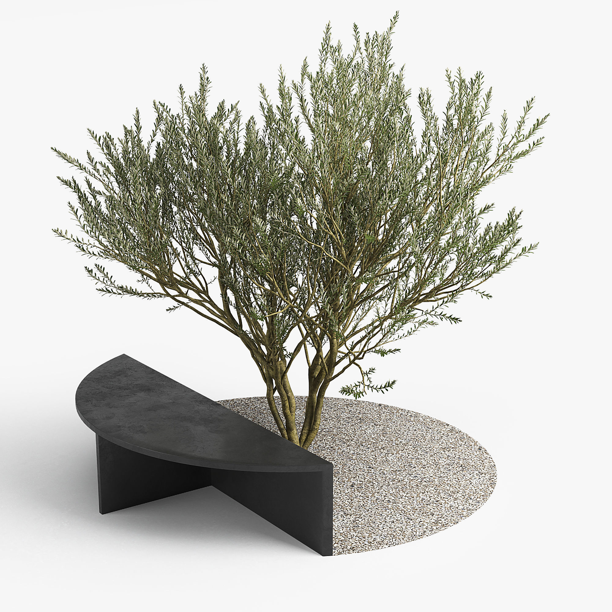 RtA Olive 3D model_1