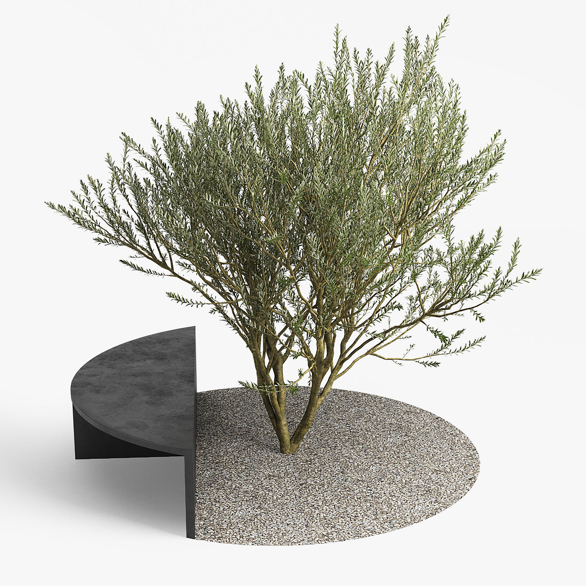 RtA Olive 3D model_4