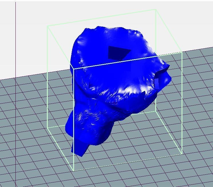 Digimon Weregarurumon to 3D print 3D print model_35