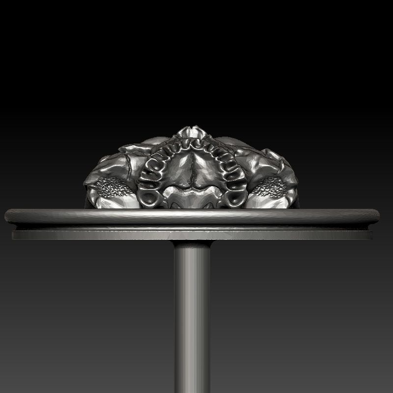 skull earrings studs 3D print model_16