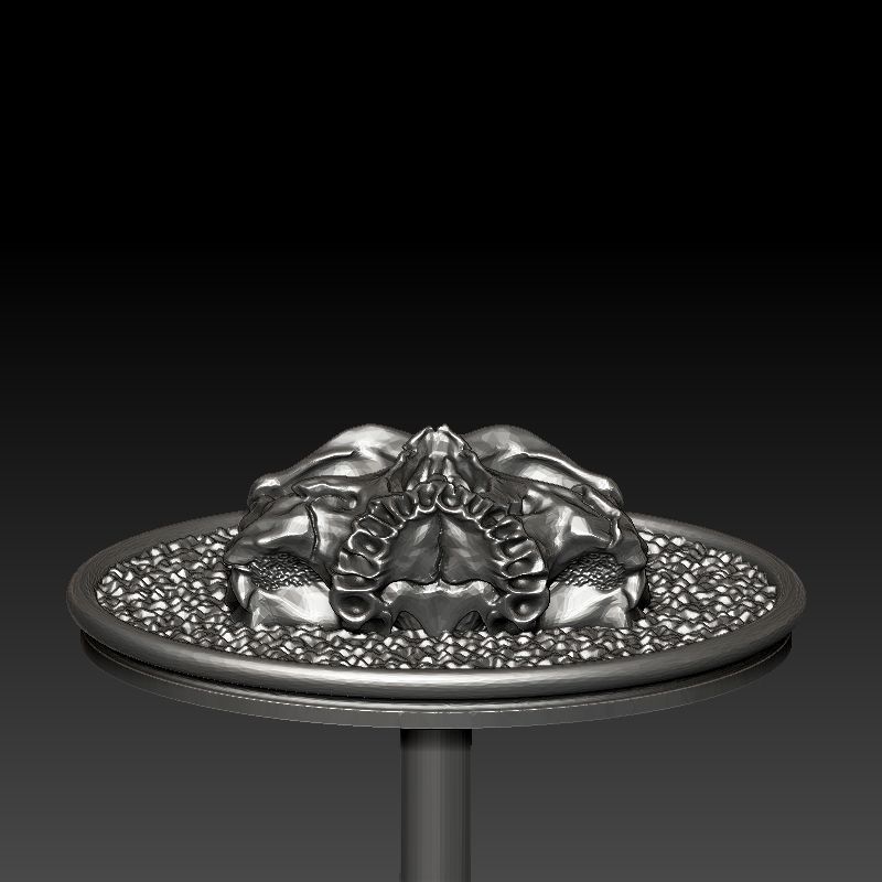 skull earrings studs 3D print model_15