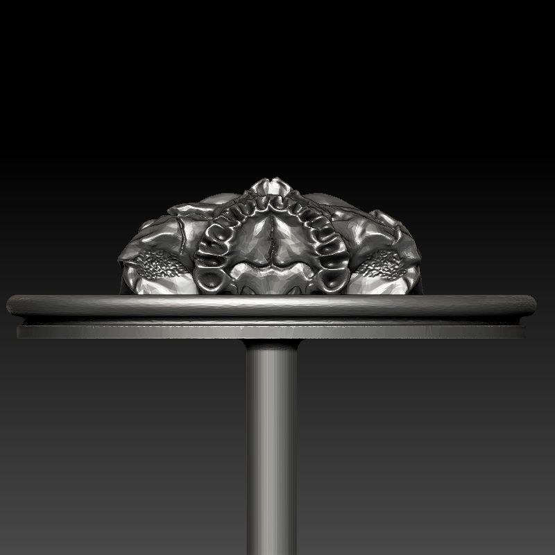 skull earrings studs 3D print model_16