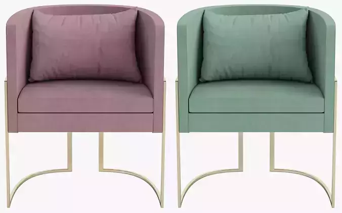 Chair velvet with gold frame