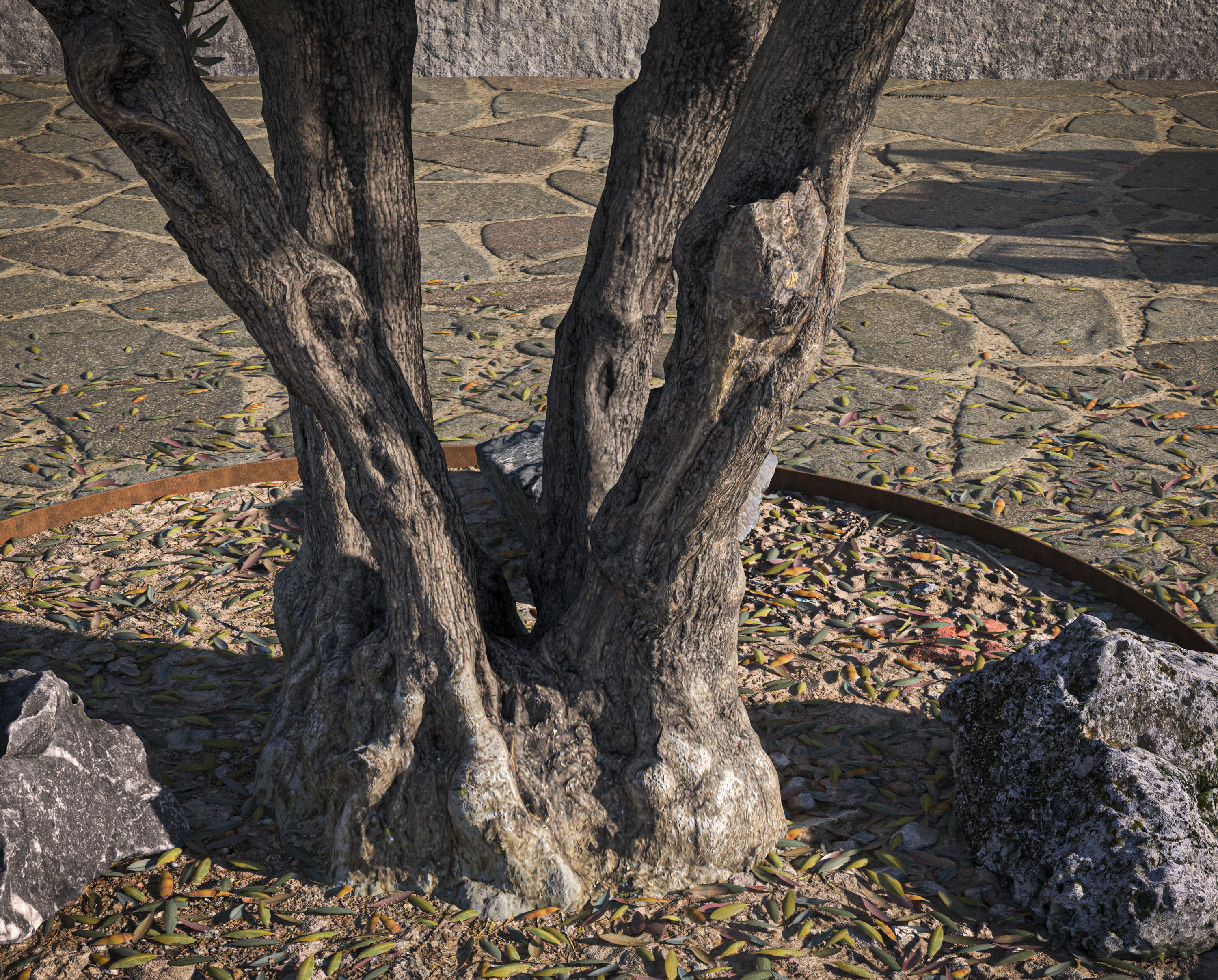 Olive Tree 02 RETOPO  3D model_4