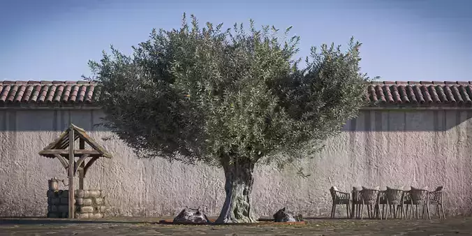 Olive Tree 04 RETOPO  3D model