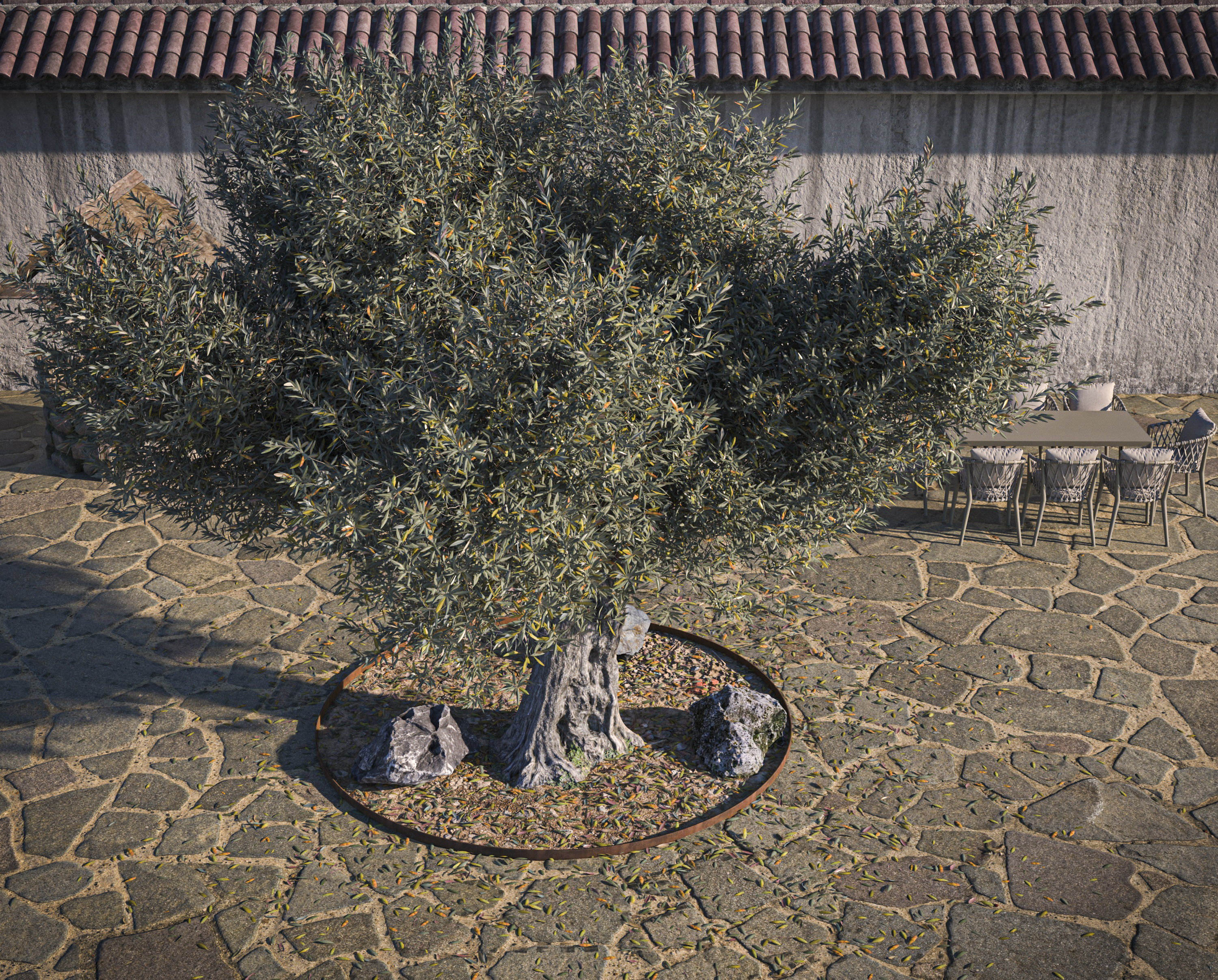 Olive Tree 04 RETOPO  3D model_5