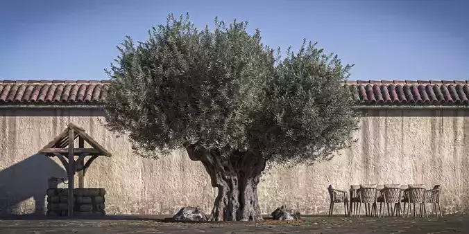 Olive Tree 05 RETOPO  3D model