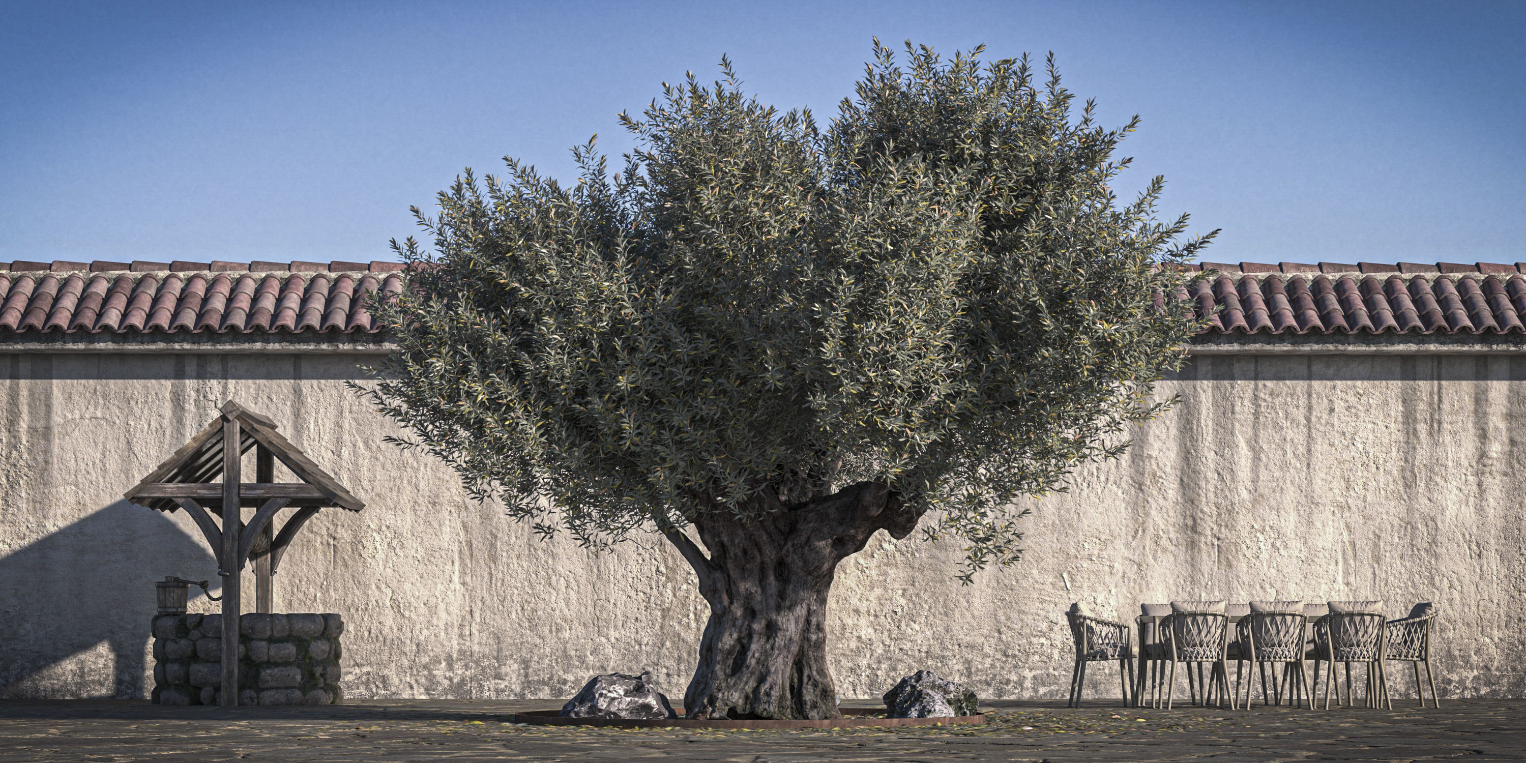 Olive Tree 05 RETOPO  3D model_2