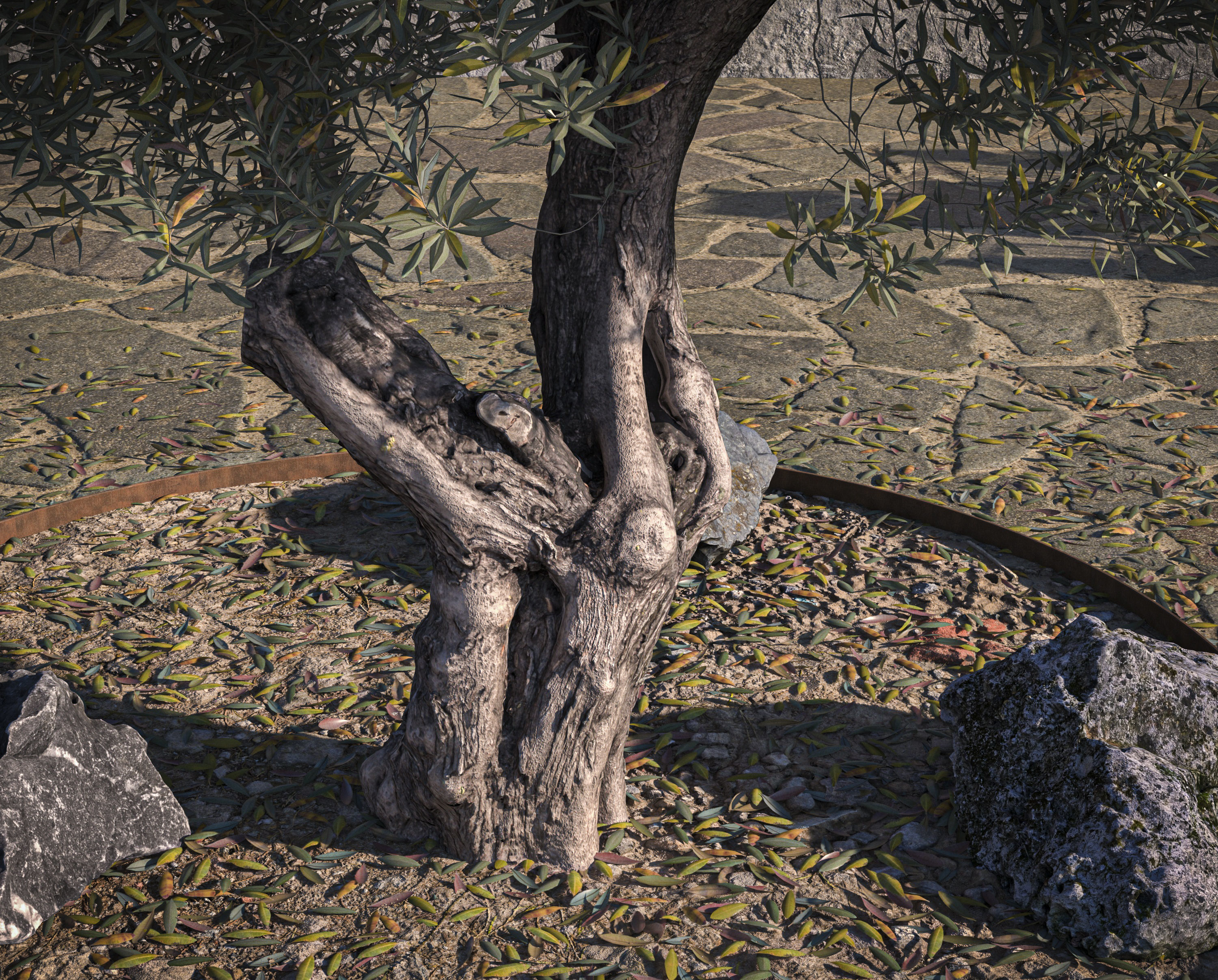 Olive Tree 06 RETOPO  3D model_4