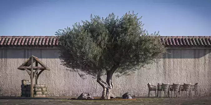 Olive Tree 06 RETOPO 