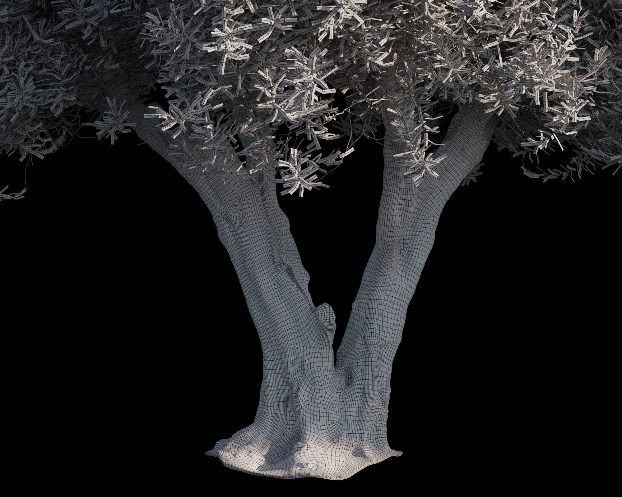 Olive Tree 08 RETOPO  3D model_6
