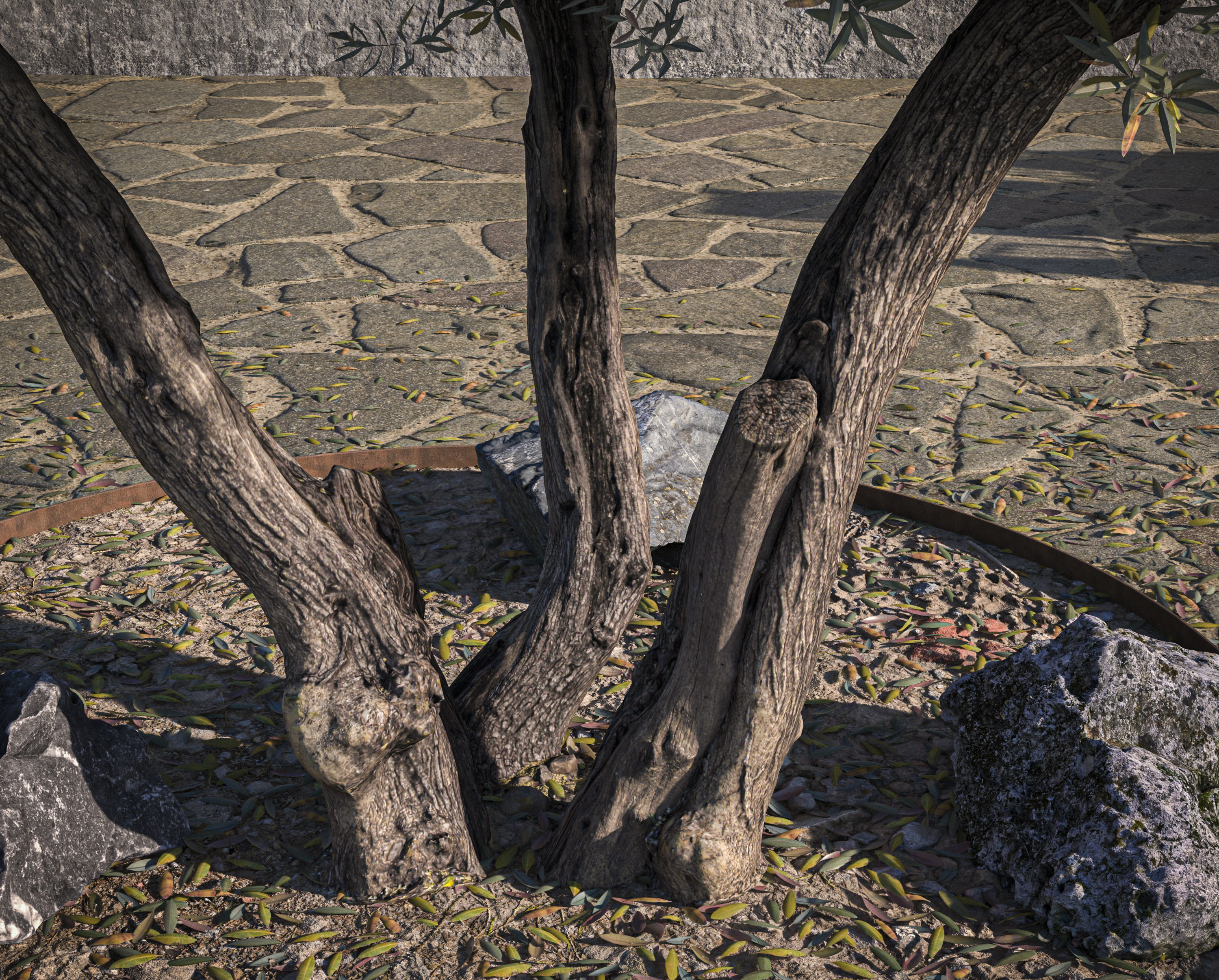 Olive Tree 09 RETOPO  3D model_4