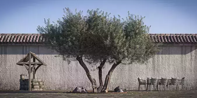 Olive Tree 09 RETOPO  3D model