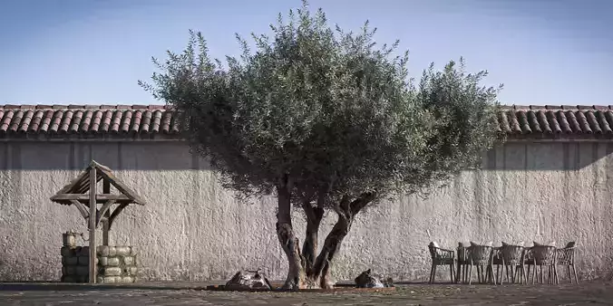 Olive Tree 10 RETOPO  3D model