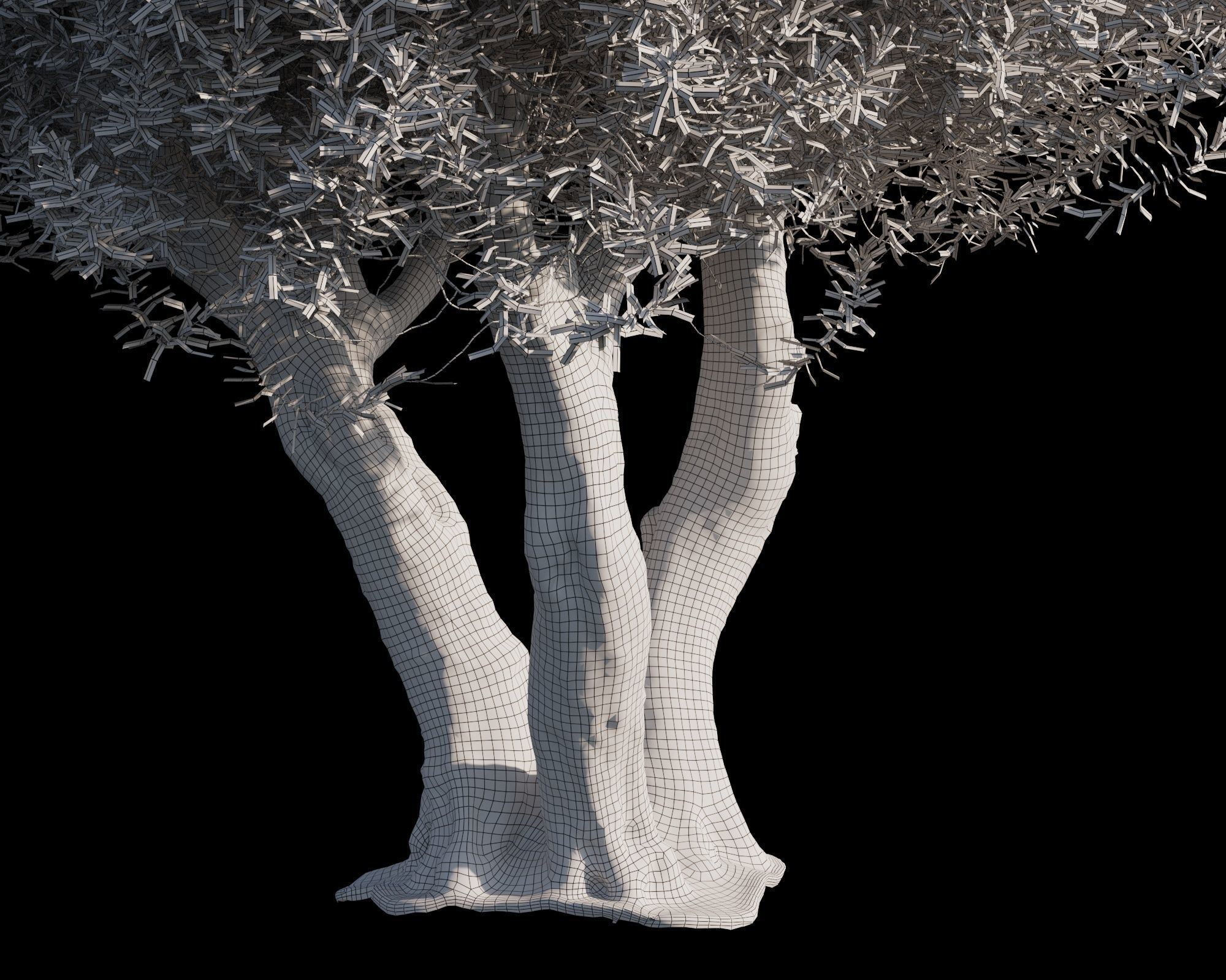 Olive Tree 10 RETOPO  3D model_6