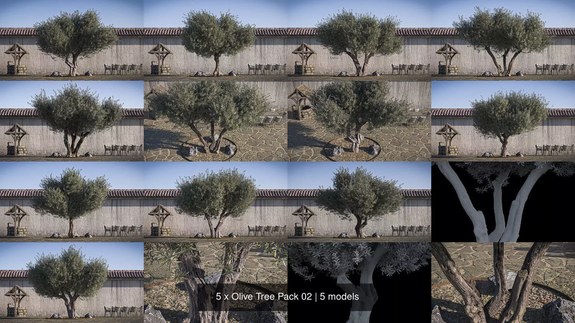 5 x Olive Tree Pack 02 3D Model Collection_0