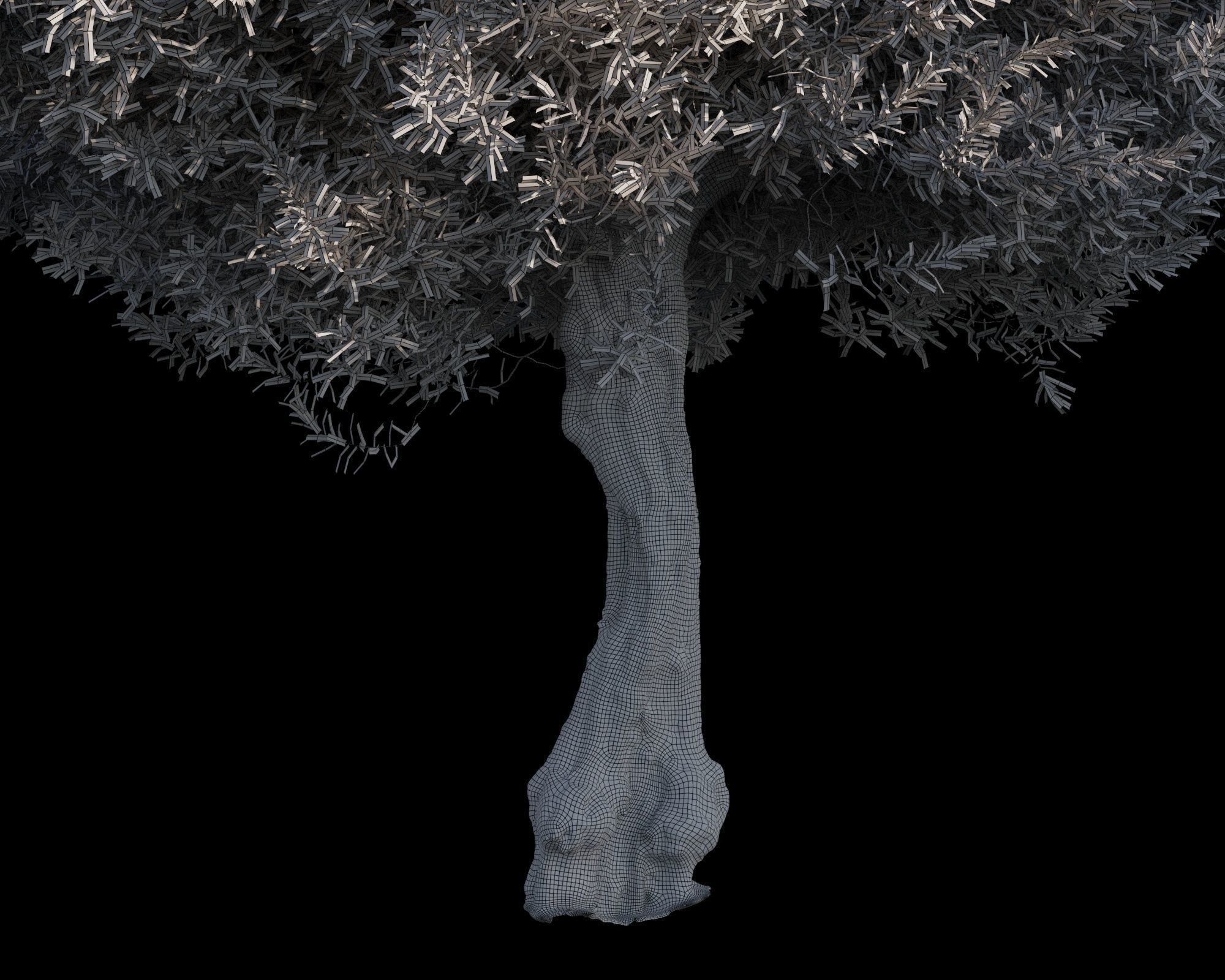 5 x Olive Tree Pack 02 3D Model Collection_7