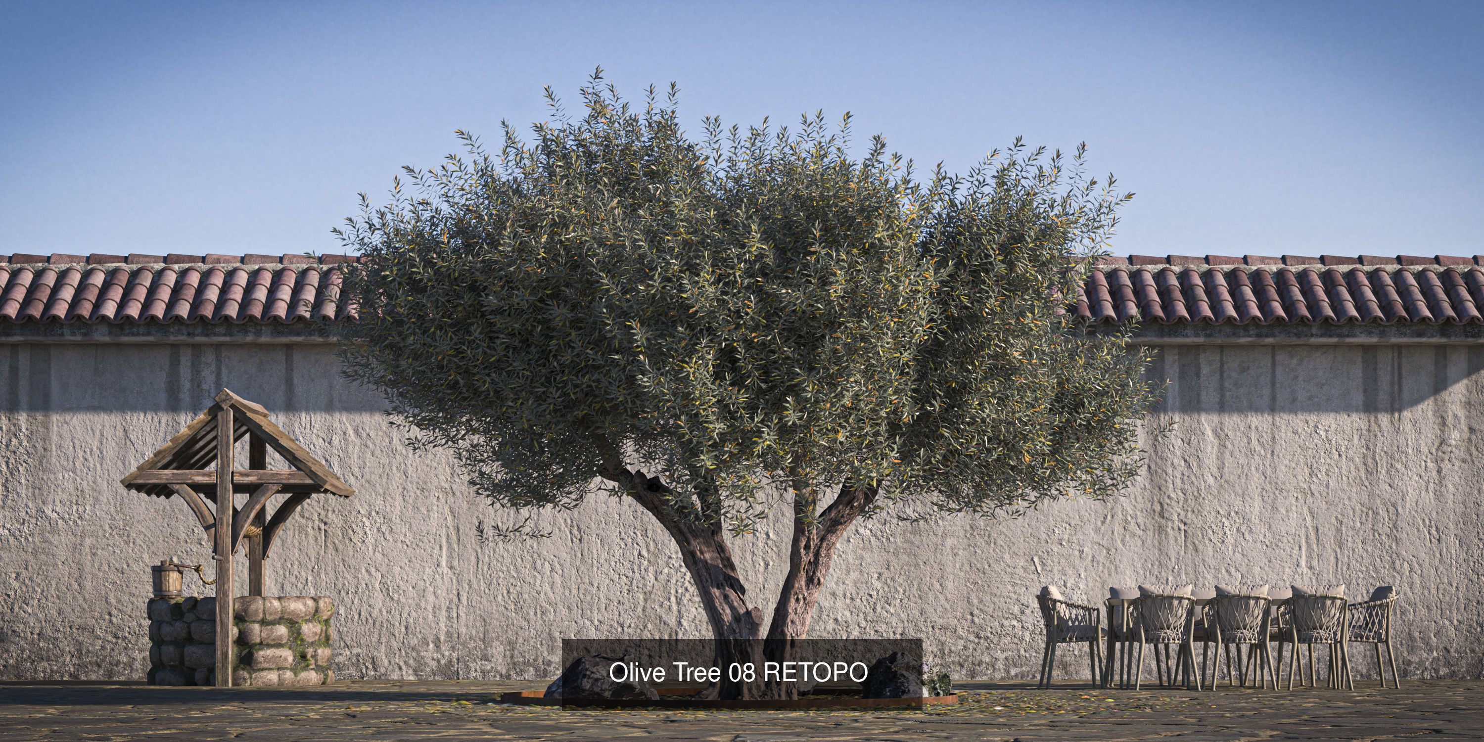 5 x Olive Tree Pack 02 3D Model Collection_3