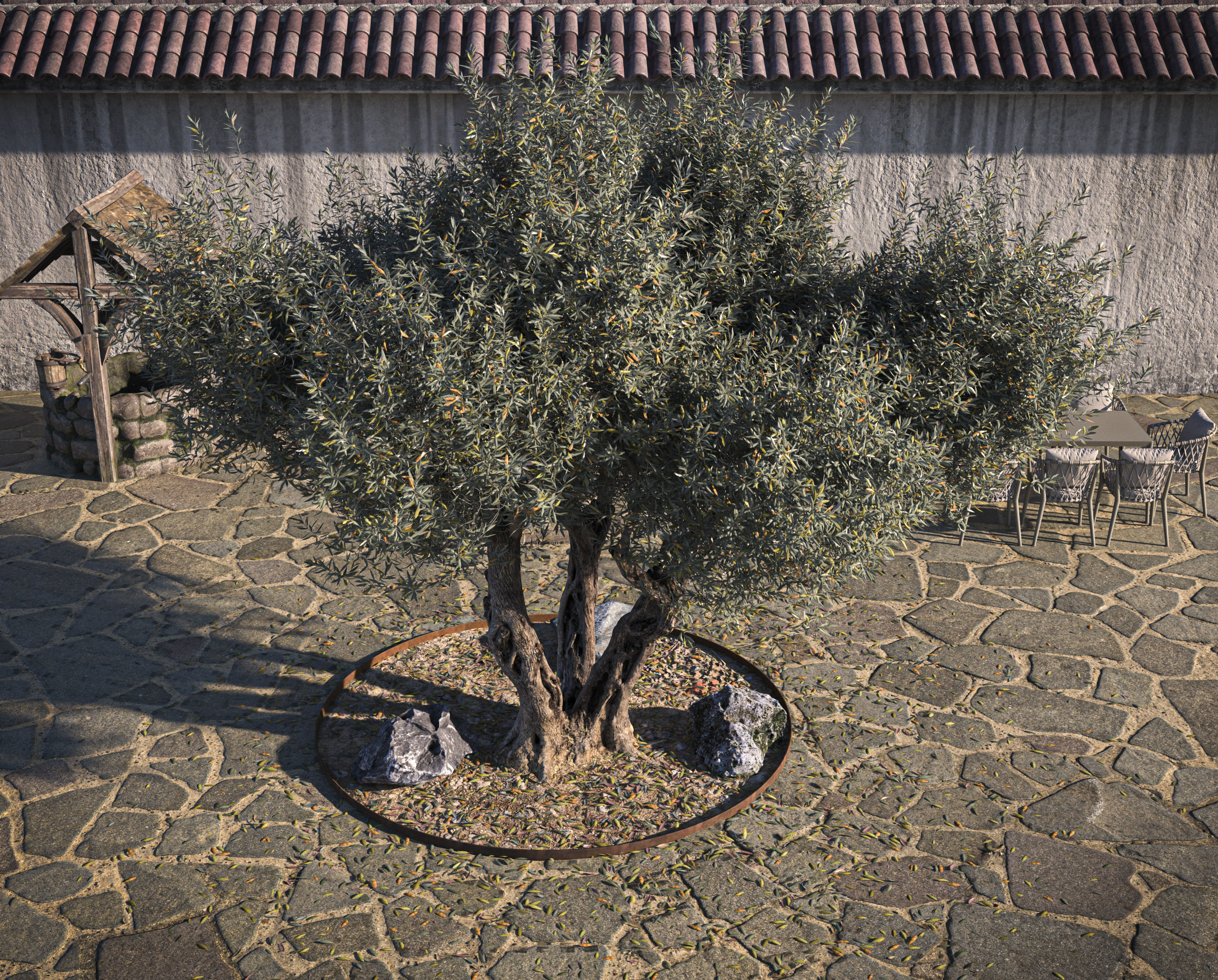 5 x Olive Tree Pack 02 3D Model Collection_24