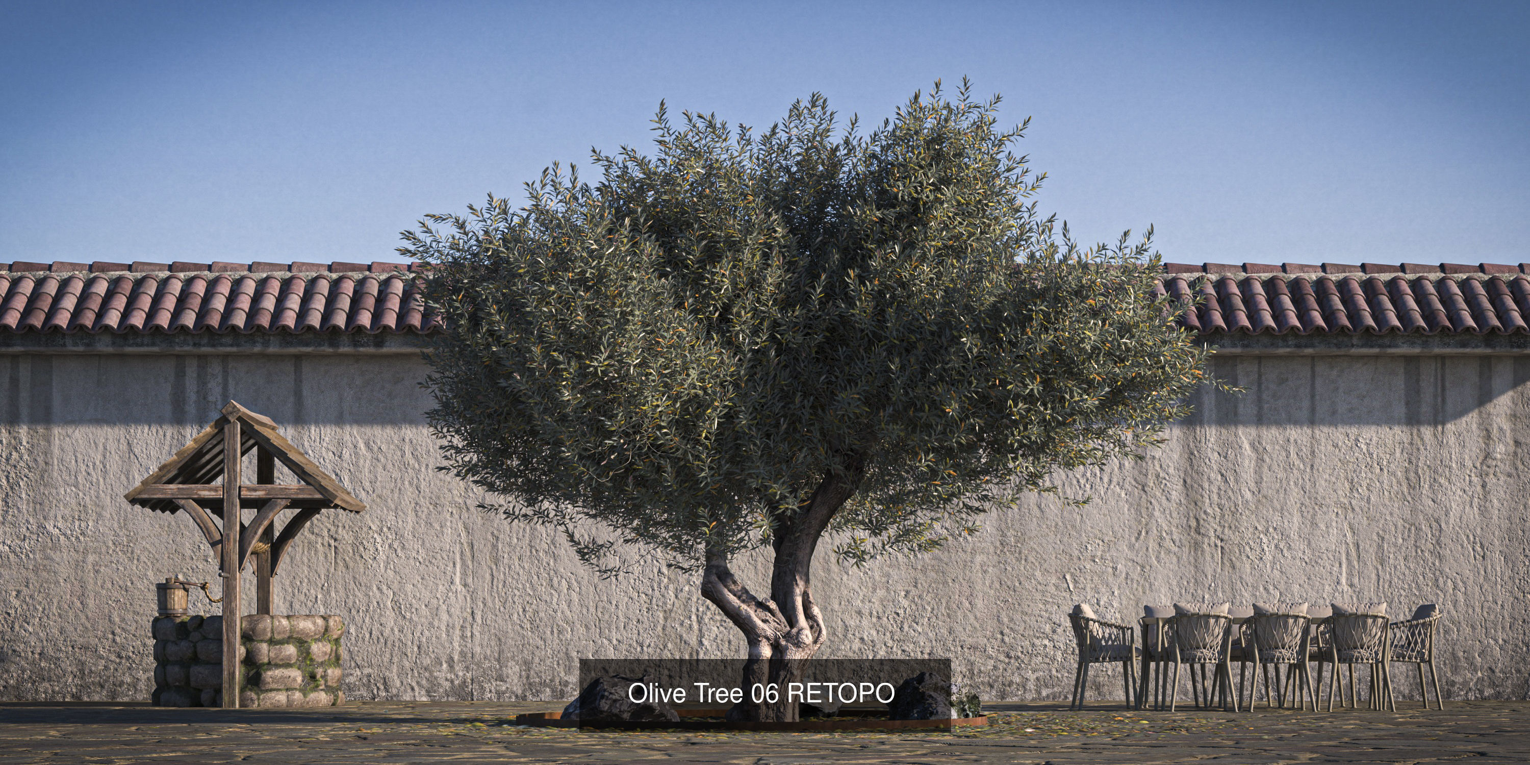 5 x Olive Tree Pack 02 3D Model Collection_1
