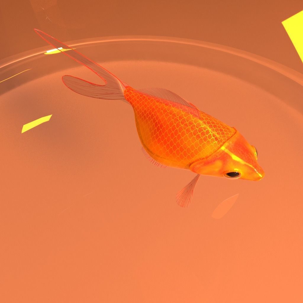fish in pot Low-poly 3D model_7
