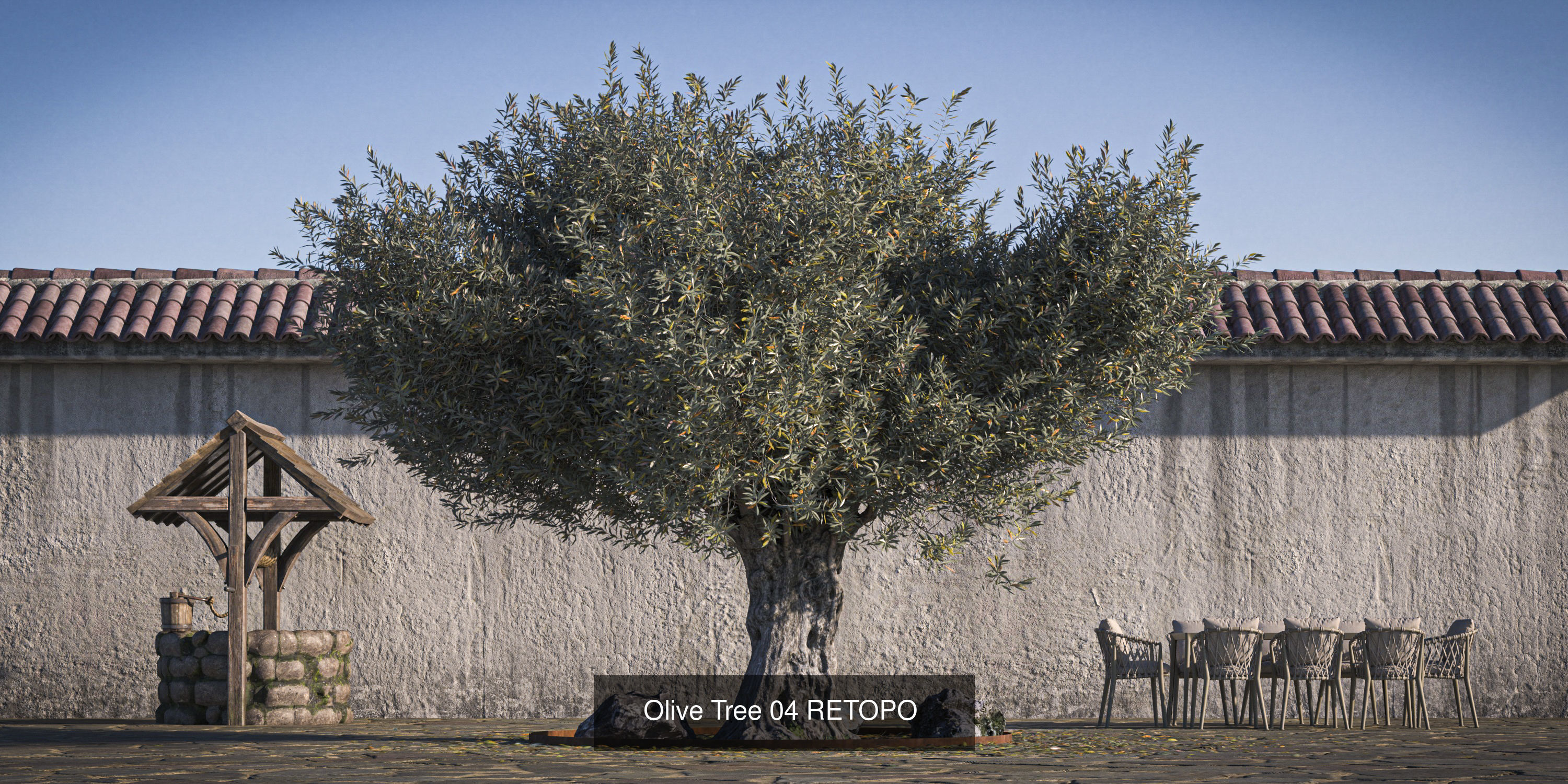5 x Olive Tree Pack 01 3D Model Collection_4