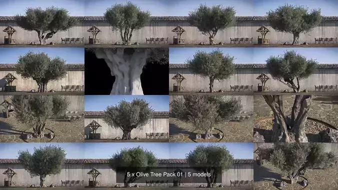 5 x Olive Tree Pack 01