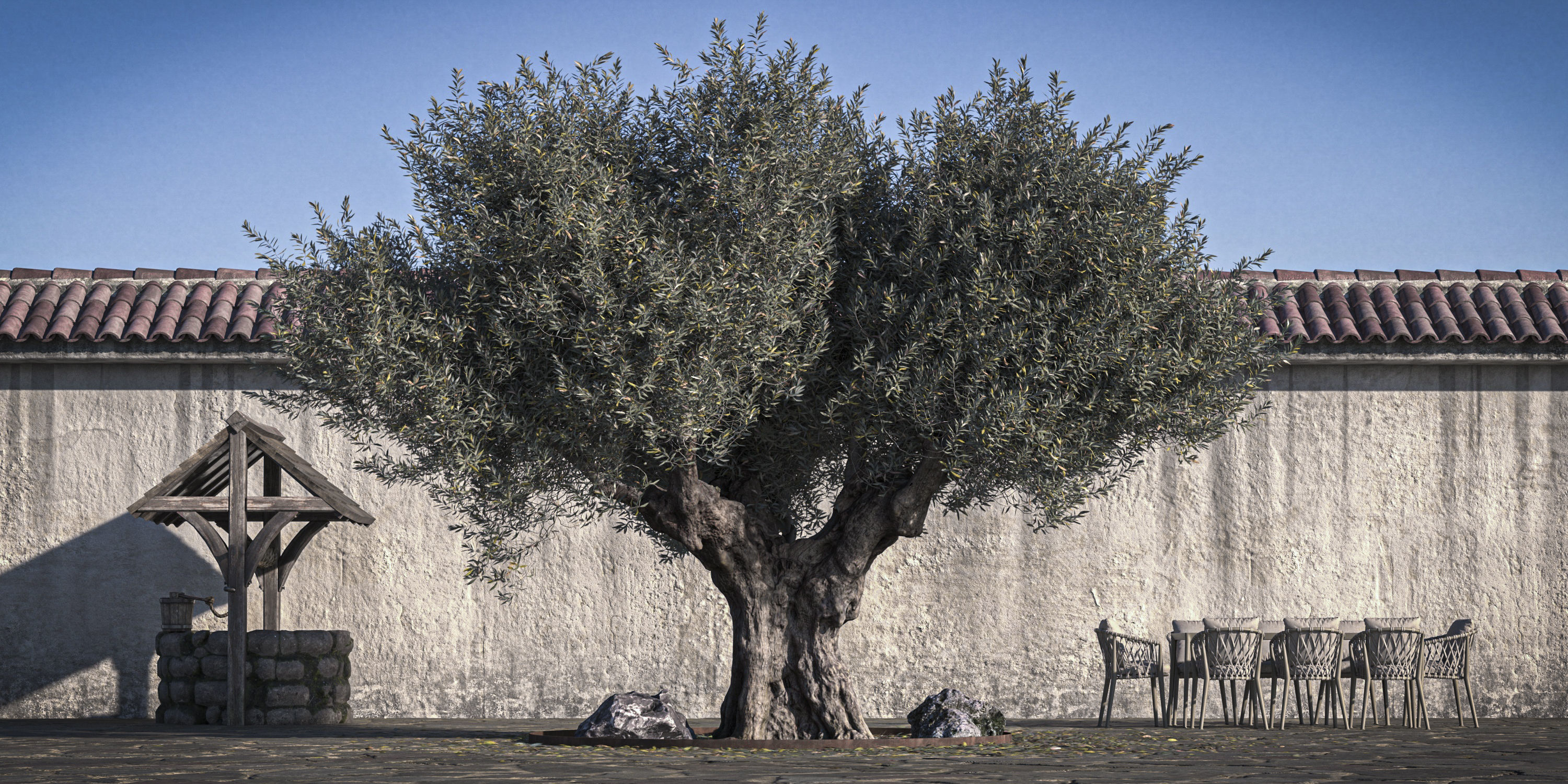 5 x Olive Tree Pack 01 3D Model Collection_21