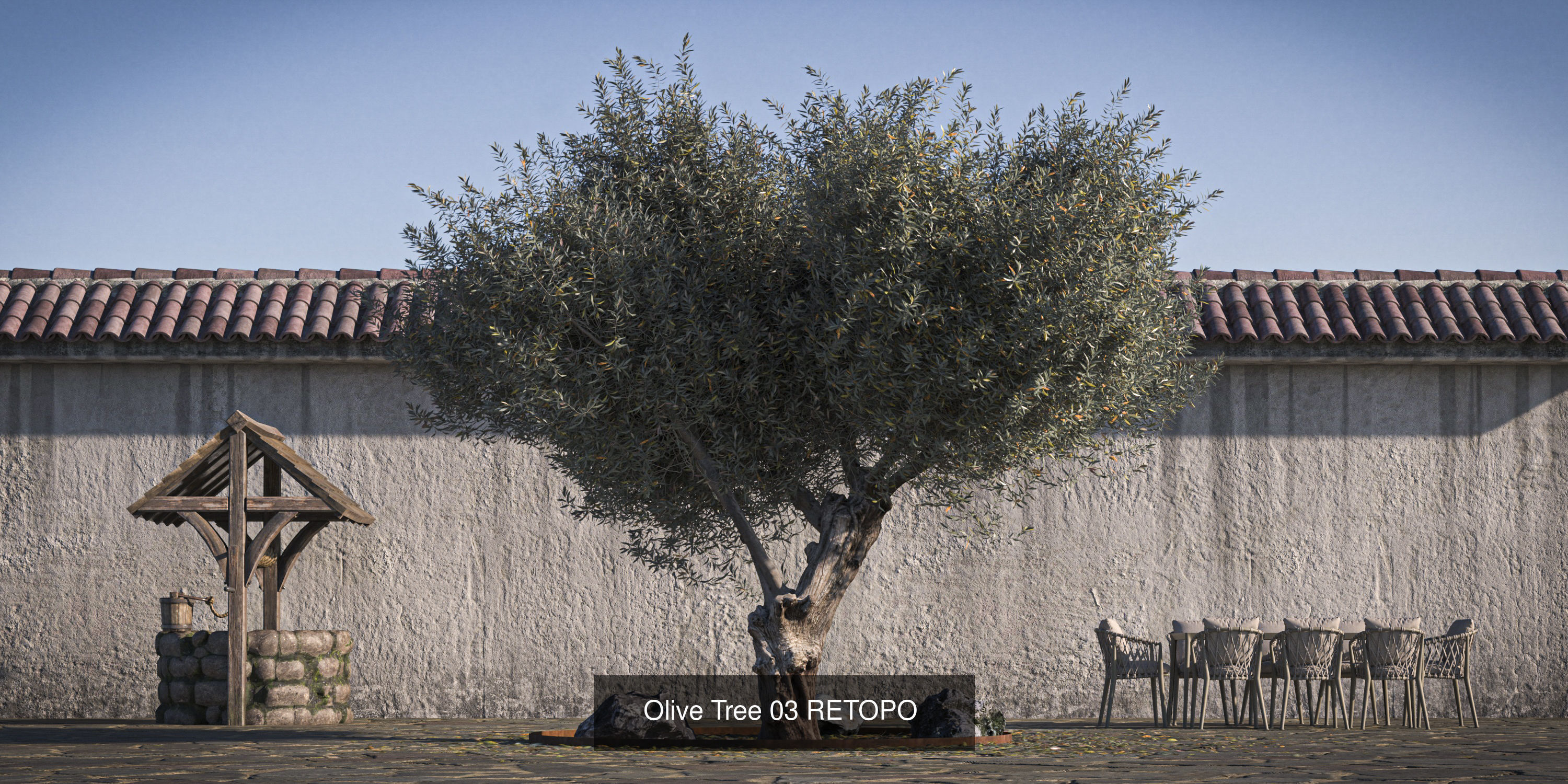 5 x Olive Tree Pack 01 3D Model Collection_3