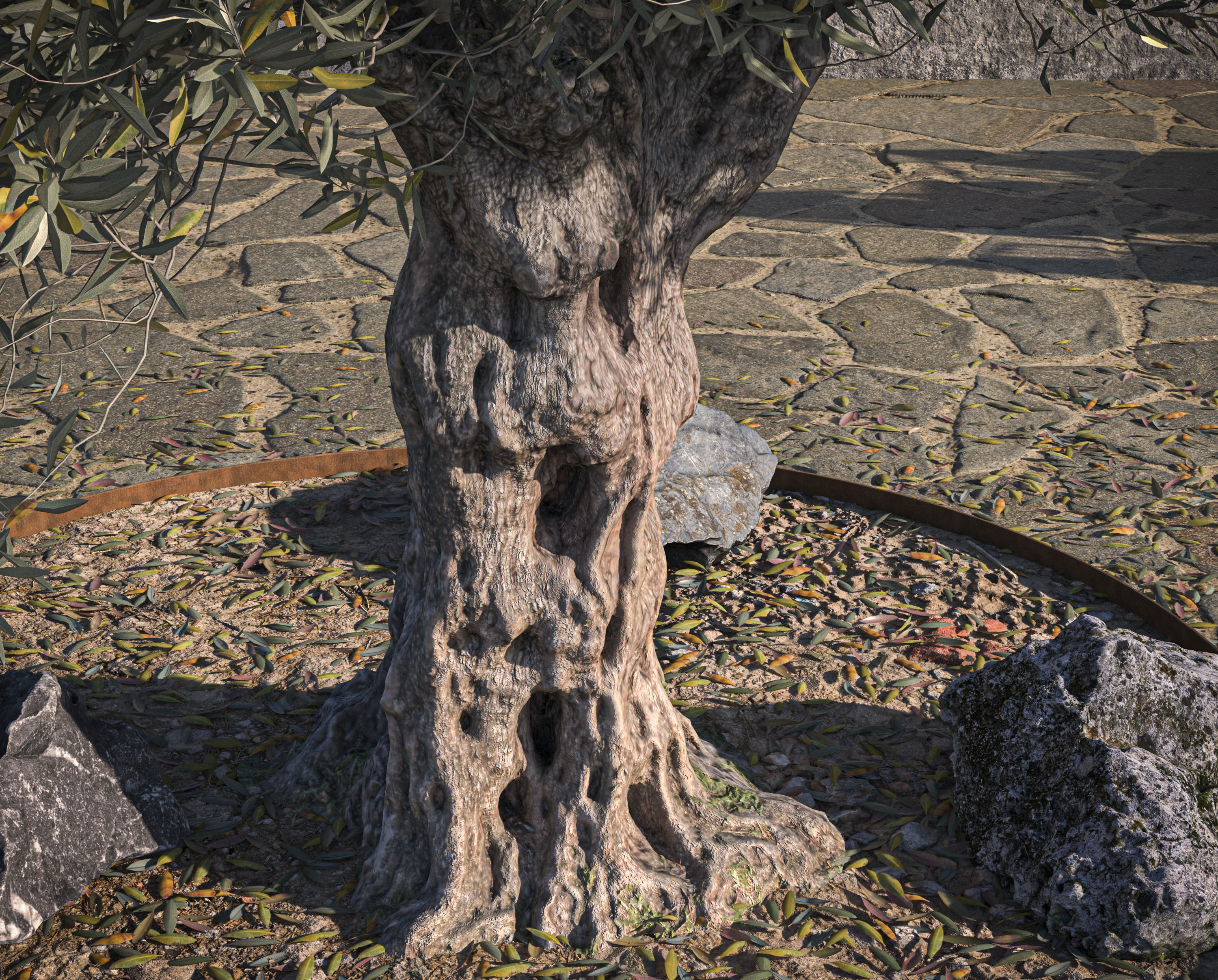 5 x Olive Tree Pack 01 3D Model Collection_32