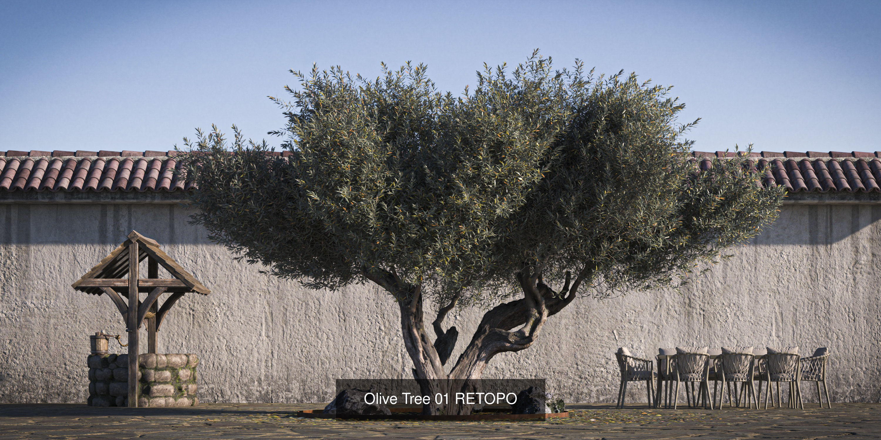 5 x Olive Tree Pack 01 3D Model Collection_1