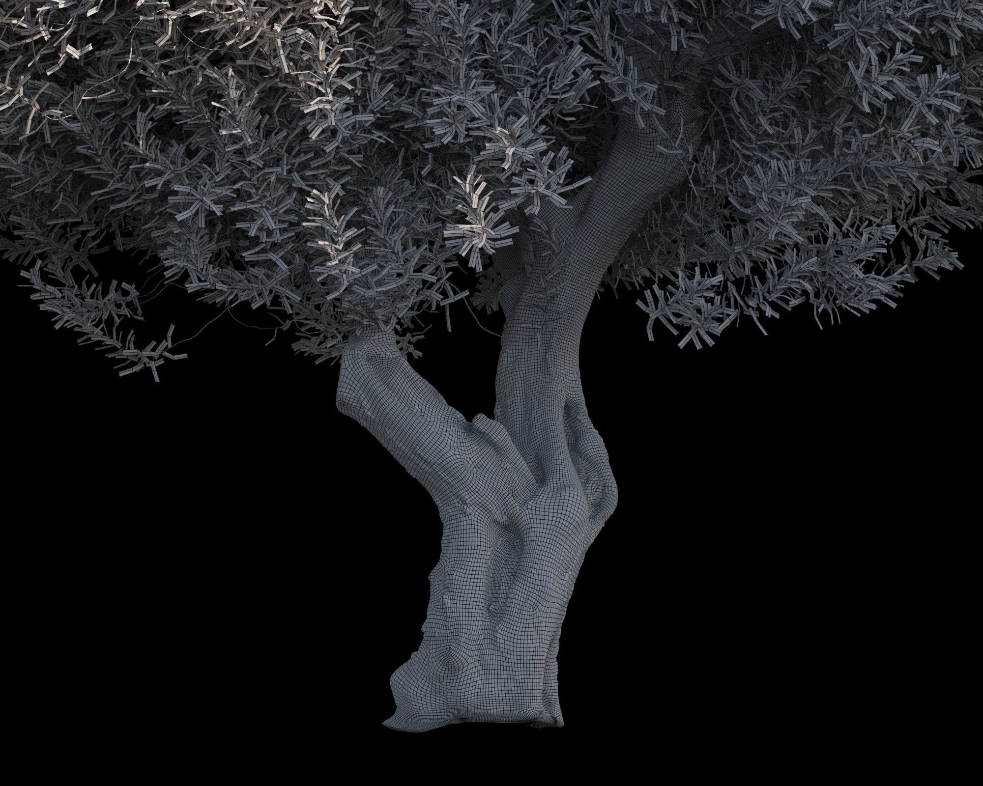 10 x Olive Tree Pack  3D Model Collection_14