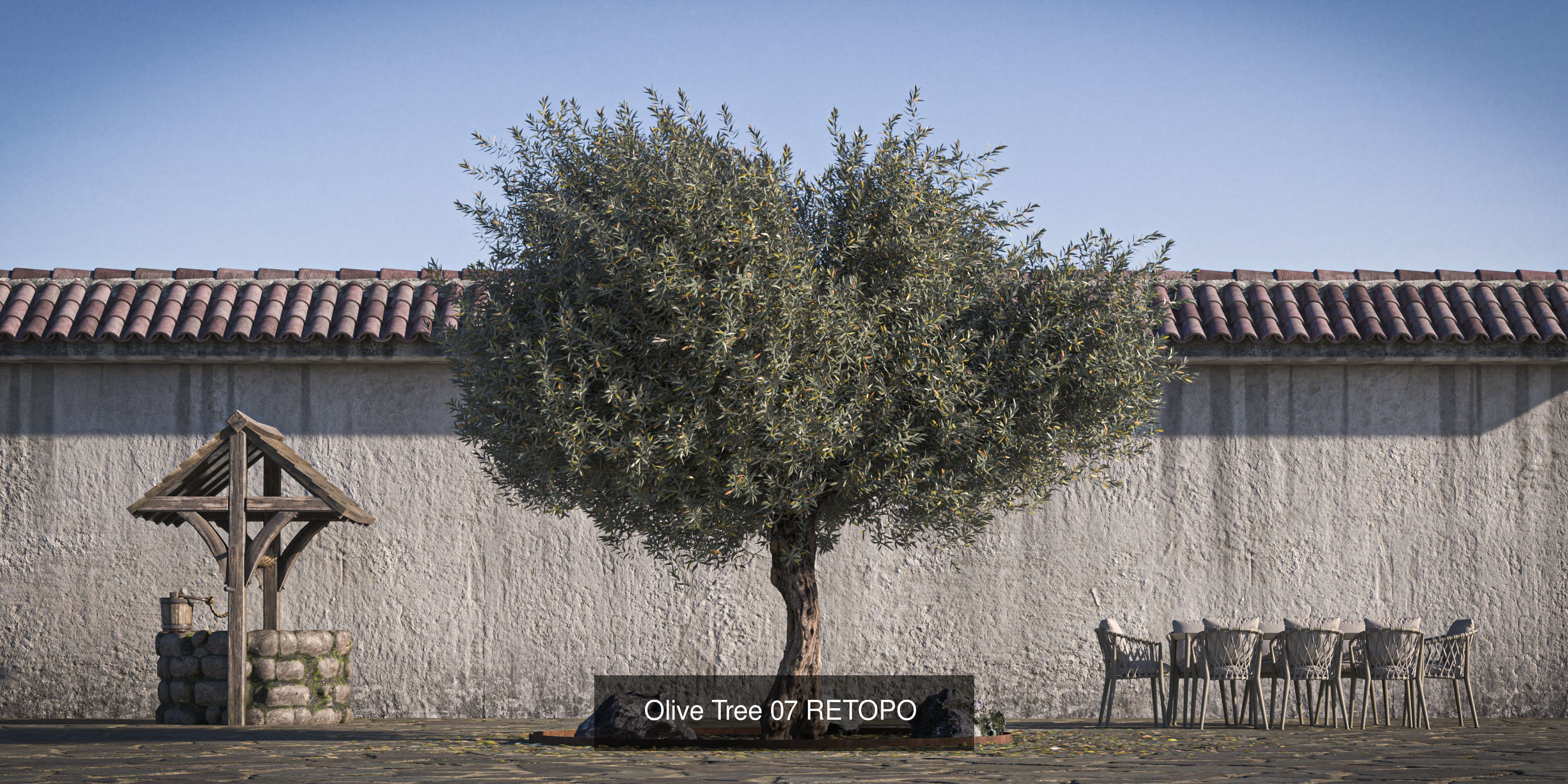 10 x Olive Tree Pack  3D Model Collection_6
