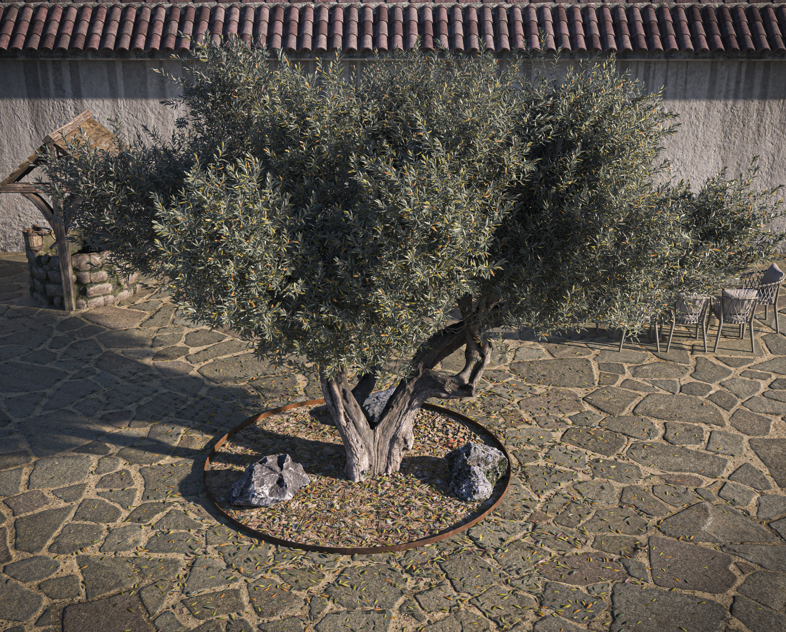 10 x Olive Tree Pack  3D Model Collection_57